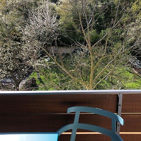 Blaues Zimmer Mit Grossem Balkon, Bad Ist Ein Traum, 50 Schritte Zum Radweg Am Main,Ideal For Short Stay Mainstockheim Экстерьер фото