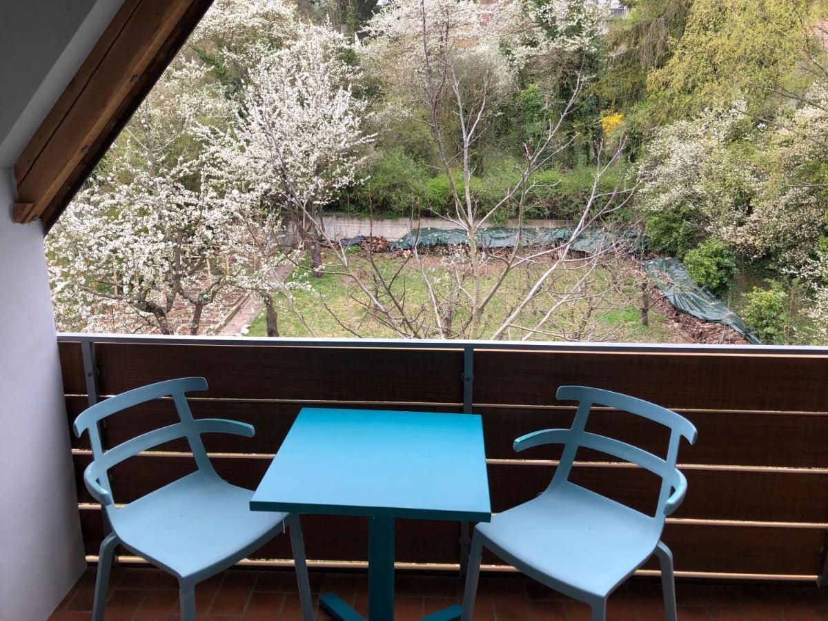 Blaues Zimmer Mit Grossem Balkon, Bad Ist Ein Traum, 50 Schritte Zum Radweg Am Main,Ideal For Short Stay Mainstockheim Экстерьер фото