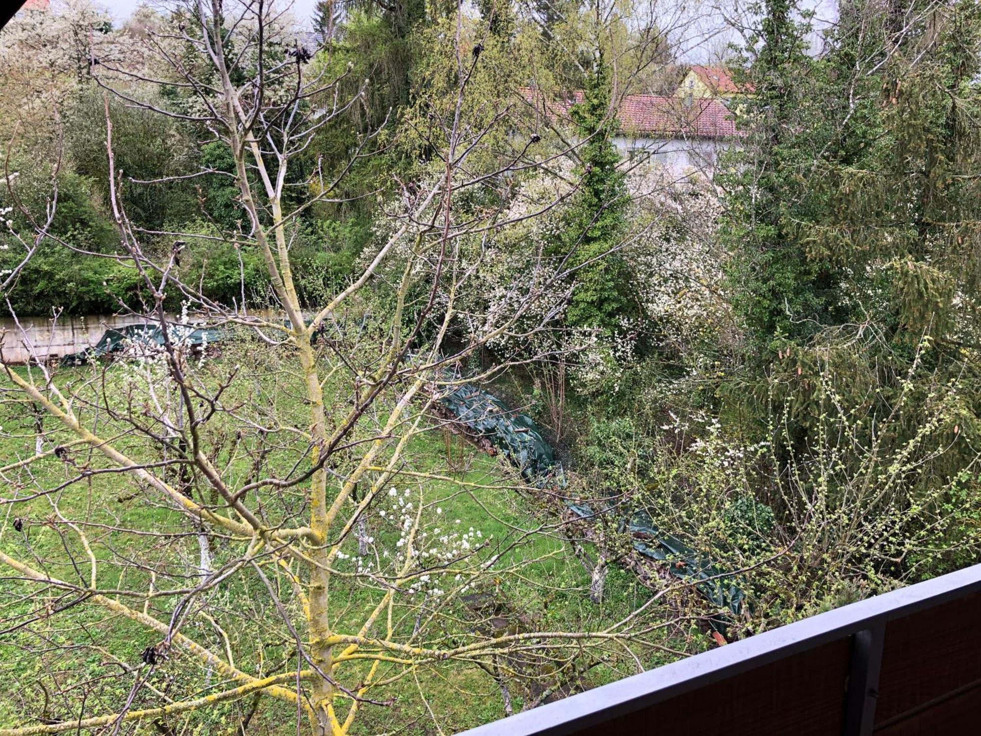 Blaues Zimmer Mit Grossem Balkon, Bad Ist Ein Traum, 50 Schritte Zum Radweg Am Main,Ideal For Short Stay Mainstockheim Экстерьер фото